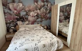 Nilaj Apartment